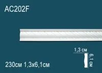 AC202F