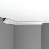 dp205