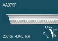 AA079F