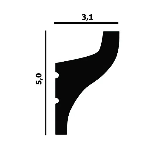 P95_profile_size_black-min