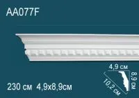 AA077F