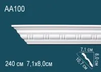 AA100