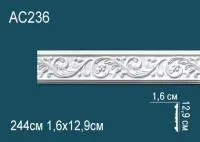 AC236