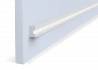 P20 (1)