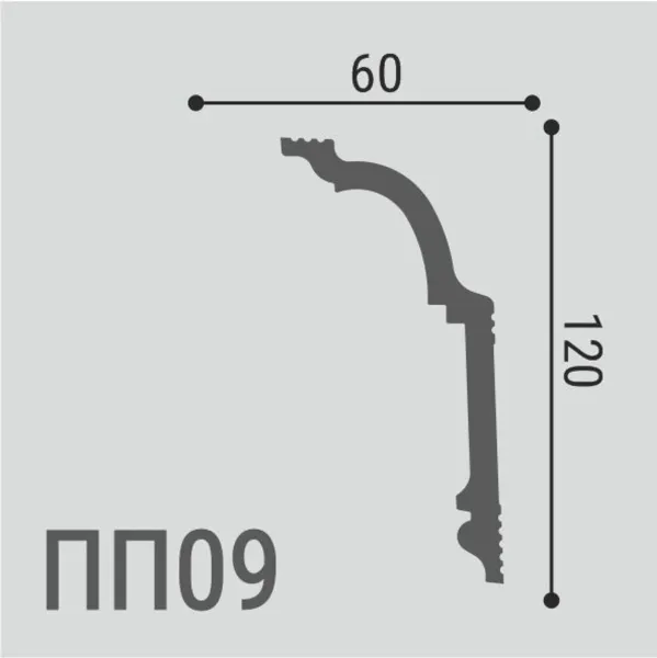 ПП 09
