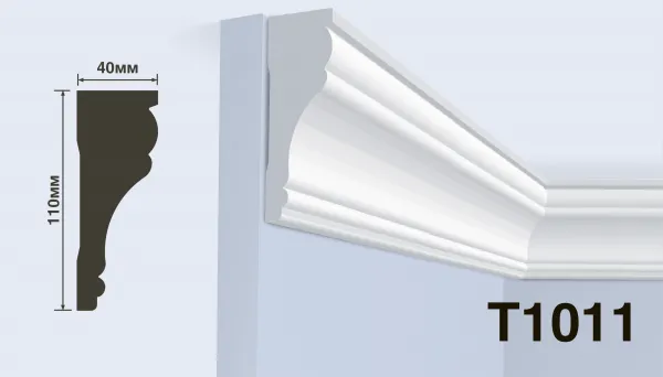T1011