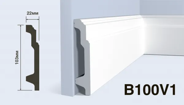 B100V1