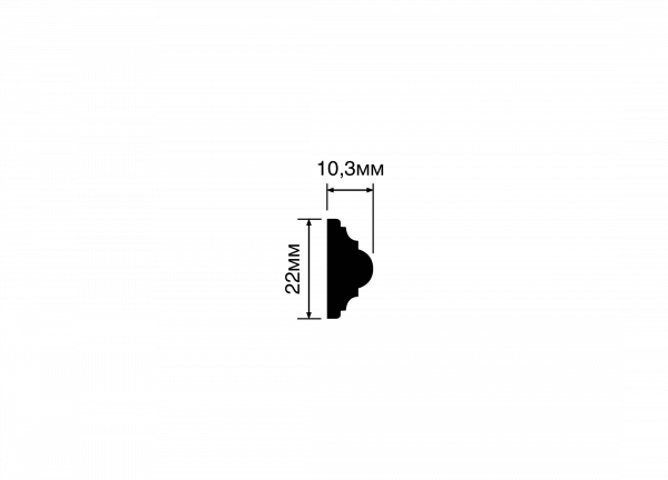 D22V1 (1)