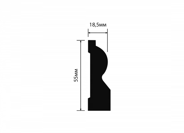 B55 (1)
