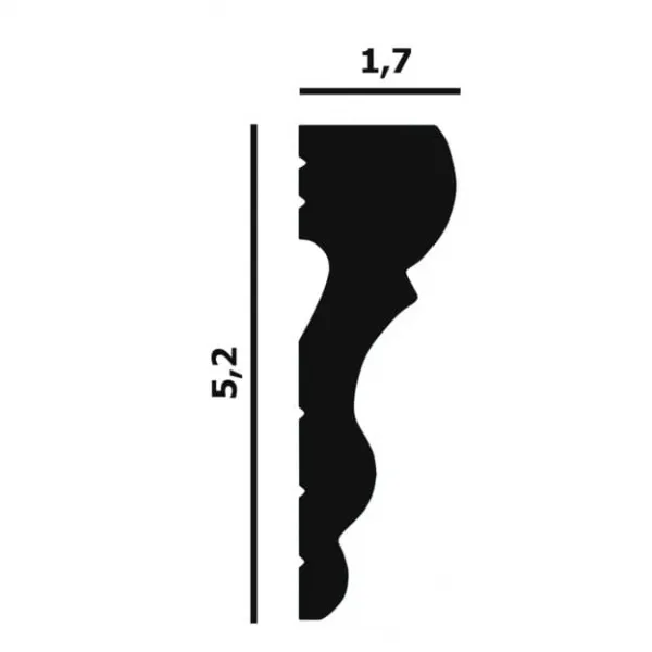 P58-1