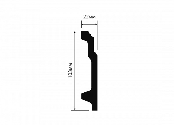B100V1 (1)