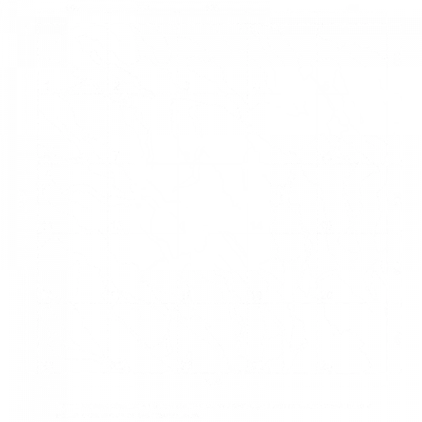 ARRAKIS_scheme