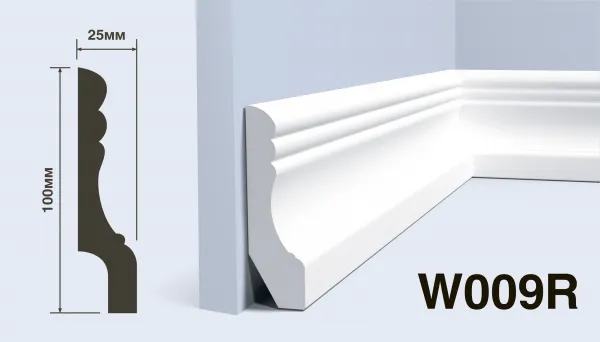 W009R