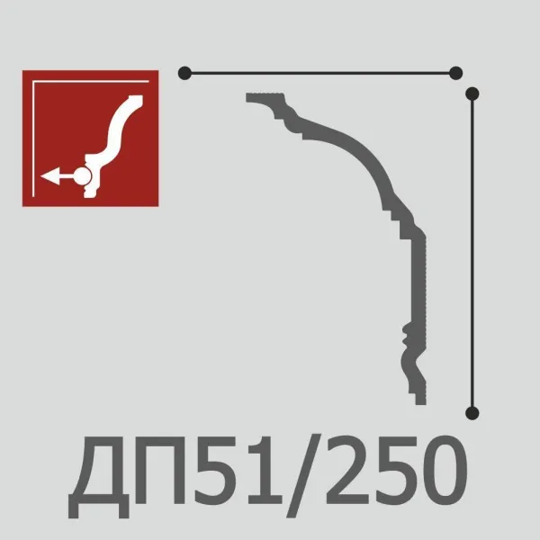 ДП51-250
