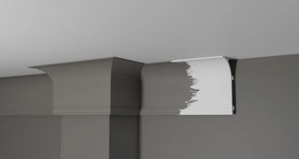 dd520_color